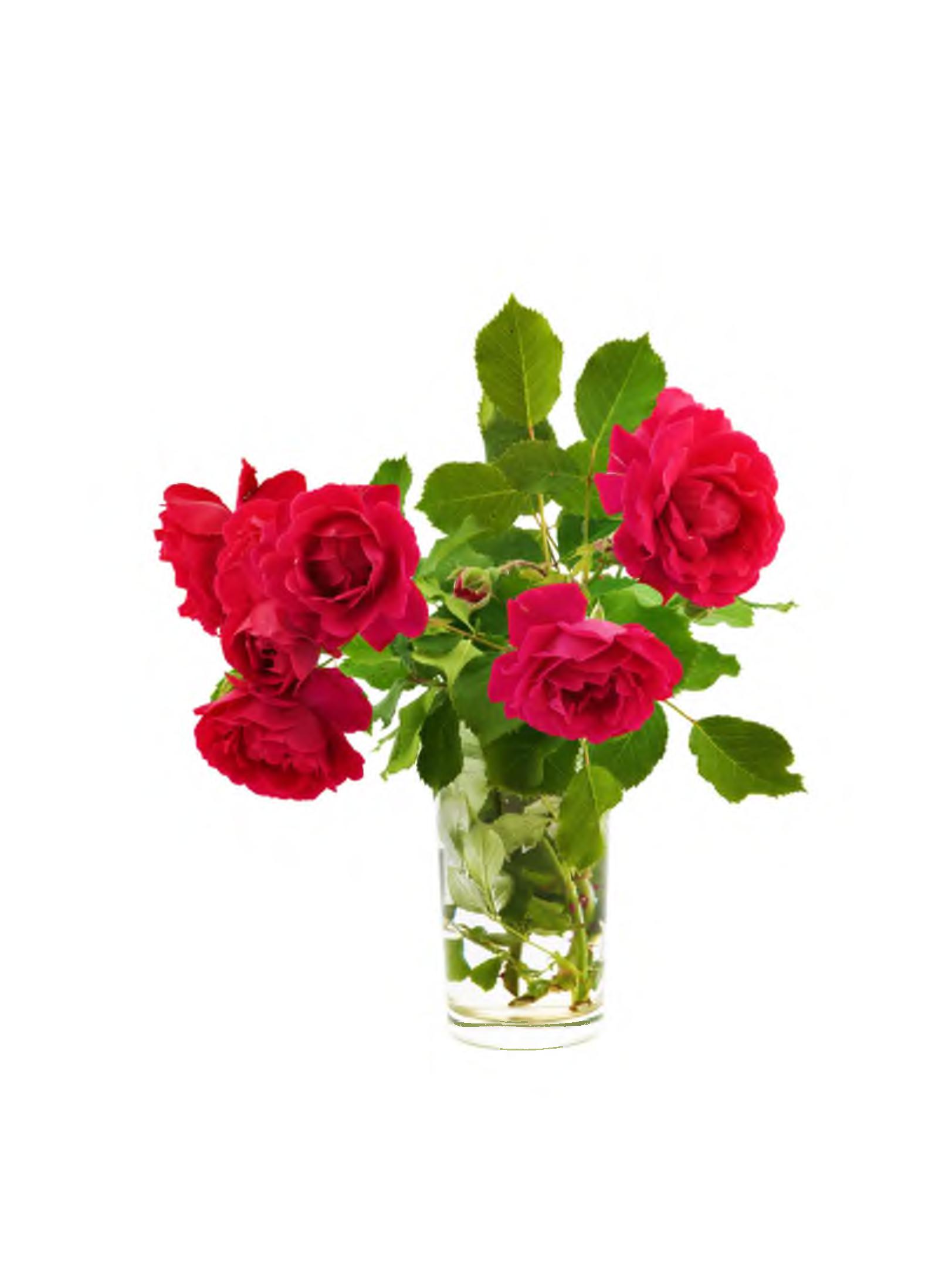 Rosenstrauß in Vase
